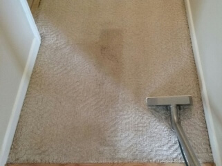 cleaning carpet